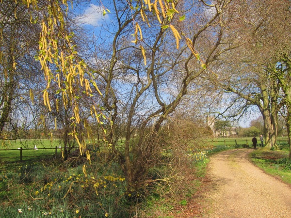 South Elmham, Suffolk